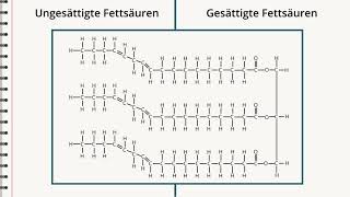 Chemie Gesättigte und ungesättigte Fettsäuren [upl. by Xer155]