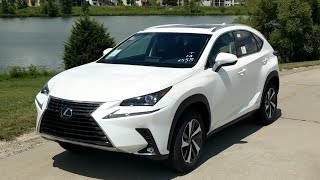 2019 Lexus NX 300h Review  Hybrid BETTER than Turbo 4 [upl. by Loralyn]