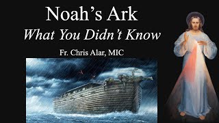 Noahs Ark What You Didnt Know  Explaining the Faith [upl. by Ephrem]