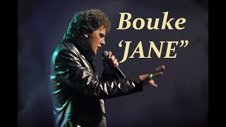 Bouke JANE Dutch Elvis lyrics [upl. by Dnomasor47]