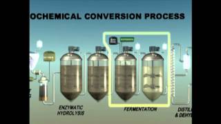 Biochemical Enzymatic Hydrolysis [upl. by Lleihsad]