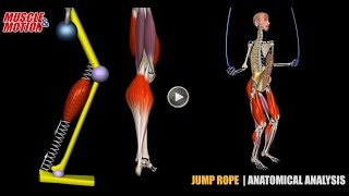 Jump Rope  Anatomical Analysis  Active Muscles [upl. by Prochoras]