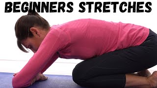 Beginners Stretching Exercises for General Flexibility  10 MIN ROUTINE [upl. by Von960]