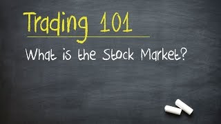 Trading 101 What is the Stock Market [upl. by Simah497]