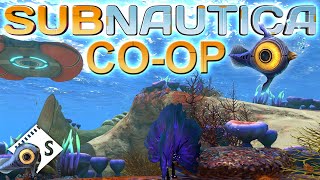 Subnautica Multiplayer CoOp [upl. by Hsreh329]