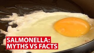 Salmonella Myths vs Facts  Talking Point  CNA Insider [upl. by Brookes490]