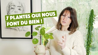 7 plantes bienêtre amp dépolluantes [upl. by Mario]