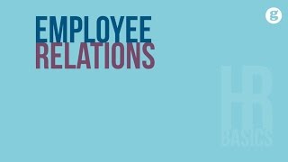 HR Basics Employee Relations [upl. by Laeria]