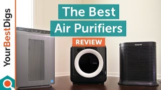 Best Air Purifier Review [upl. by Rhea893]