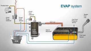 Vented Evaporative Systems [upl. by Ailaro]