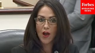 Lauren Boebert Calls Out Dems I Did Not Hear The Outcry From Dems Over Firings Of Energy Workers [upl. by Salisbury537]