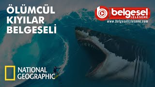 Ölümcül Kıyılar Türkçe Dublaj Belgeseli  Türkçe Dublaj [upl. by Tallia]