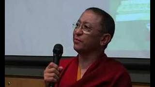 Chokyi Nyima Rinpoche  16 [upl. by Annayat]