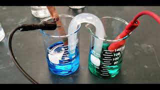 CHEM 1180 Galvanic Cells and Activity Series Lab [upl. by Ifar]