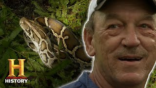 Swamp People Serpent Invasion Troy vs HUNGRY PYTHONS at SNAKE ISLAND Season 2  History [upl. by Raamal]