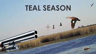 Duck Hunting Teal  25 Kills  by ShotKam [upl. by Enyehc]