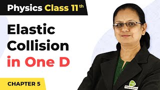 Elastic Collision in One Dimension  Work Energy and Power  Class 11 Physics [upl. by Iyre]