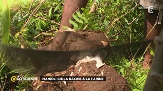 Manioc  de la racine à la farine [upl. by Htrag]