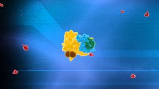 Ubiquitin System Animation  Nobel Prize in Chemistry 2004 Technion [upl. by Lalaj352]