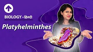 Platyhelminthes  Hindi  Diversity In Living Organisms  Biology Class 9 [upl. by Ilario]