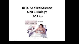 BTEC Applied Science Unit 1 Biology The ECG [upl. by Dallis]