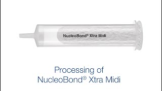 Processing of NucleoBond Xtra Midi [upl. by Alisha539]