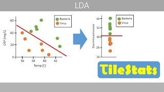 Linear discriminant analysis LDA  simply explained [upl. by Eceinej736]