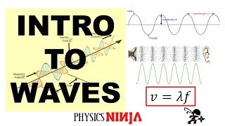 Introduction to Waves [upl. by Noloc]