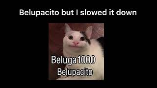 Belupacito slowed [upl. by Thrift]