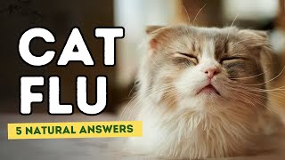 Cat Flu 5 Natural Answers [upl. by Vic]