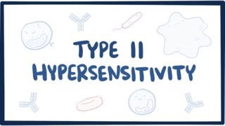 Type II hypersensitivity cytotoxic hypersensitivity  causes symptoms amp pathology [upl. by Lednahc]