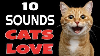 10 Sounds Cats Love To Hear The Most [upl. by Yadrahs]