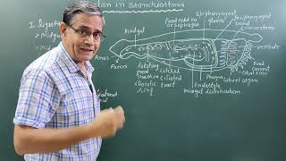 Digestion in BranchiostomaAmphioxus [upl. by Zephan]