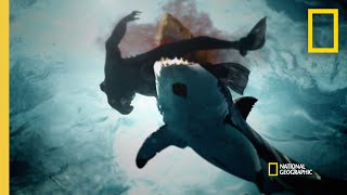 A String of Shark Attacks in San Diego  When Sharks Attack [upl. by Llener]