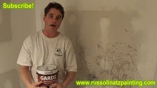 Apply Zinsser Gardz PrimerSealer to New Drywall  Drywall repair and protection Part 1 [upl. by Rosemarie]