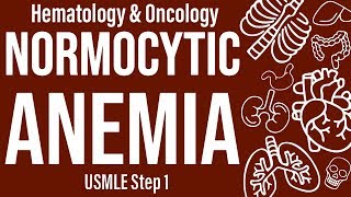 Normocytic Anemia Basics HemeOnc  USMLE Step 1 [upl. by Soilissav231]