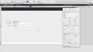 Filemaker Basics pt I [upl. by Greer706]