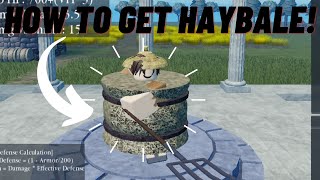 How to GET Haybale ROBLOX WARLORDS [upl. by Fortier69]