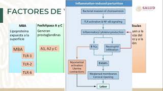 The 3 Causes Of Urinary Bladder ProblemsIssues – DrBerg [upl. by Frederik450]