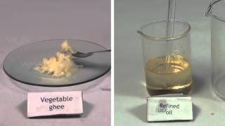 Qualitative Analysis of Oil and Fats  MeitY OLabs [upl. by Releyks]