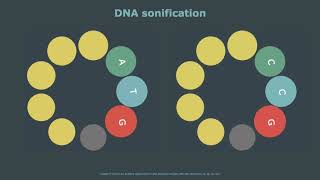 CODE  DNA sonification [upl. by Antony939]