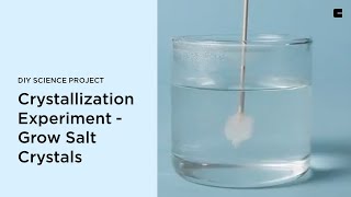 Crystallization Experiment  Grow Salt Crystals  DIY Science Project [upl. by Tloc56]