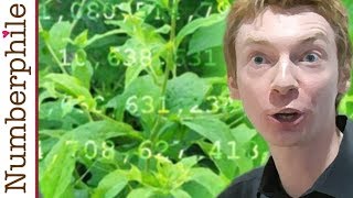 Primes are like Weeds PNT  Numberphile [upl. by Arinayed]