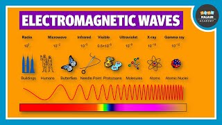 Electromagnetic Waves  Physics [upl. by Darcee]