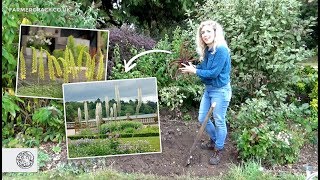 How to grow Eremurus Foxtail Lily bulbstubers  FarmerGracycouk [upl. by Ennairda]