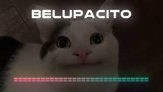 Belupacito Full [upl. by Wane]