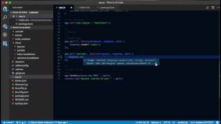 VS Code  IntelliSense [upl. by Nylekoorb]