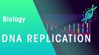 DNA Replication  Genetics  Biology  FuseSchool [upl. by Ennayr]