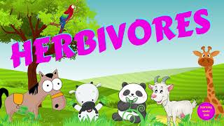 Herbivores  Types of Animals  Science for Kids [upl. by Eceinwahs441]