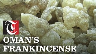 Omans Frankincense [upl. by Nue60]